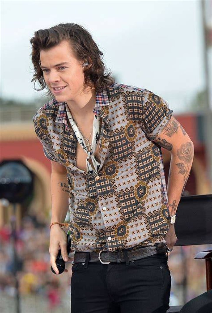 11+ Harry Styles