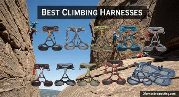 6 Best Harnesses for a Dachshund Our 2019 Dachshund Harness Guide