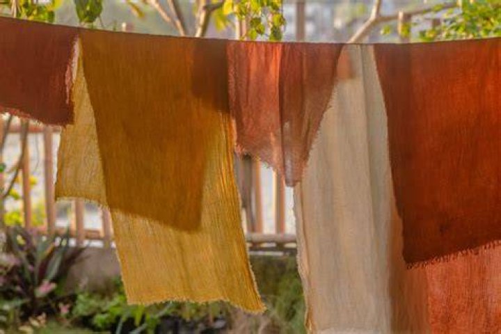A Journey Into Nature's Vibrant Dye