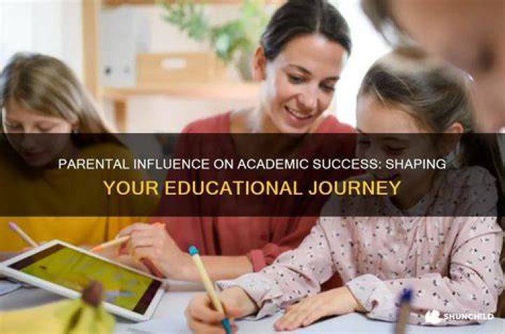 A Journey To Success And Influence