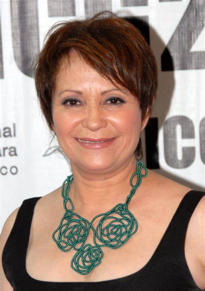 Adriana Barraza Movies, Bio and Lists on MUBI