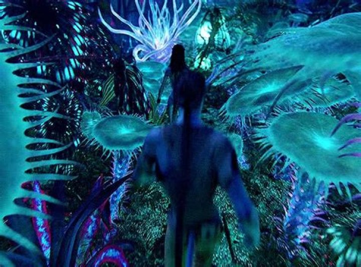 Avatar's Original Zuko Blesses His LiveAction Replacement 'It's Your