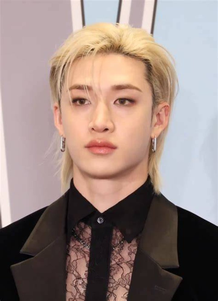 Bang Chan (Stray kids), birthday bio, net worth, age, height, facts