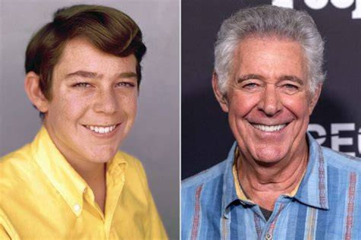 Barry Williams's Girlfriends, Net Worth and How He earns his Money