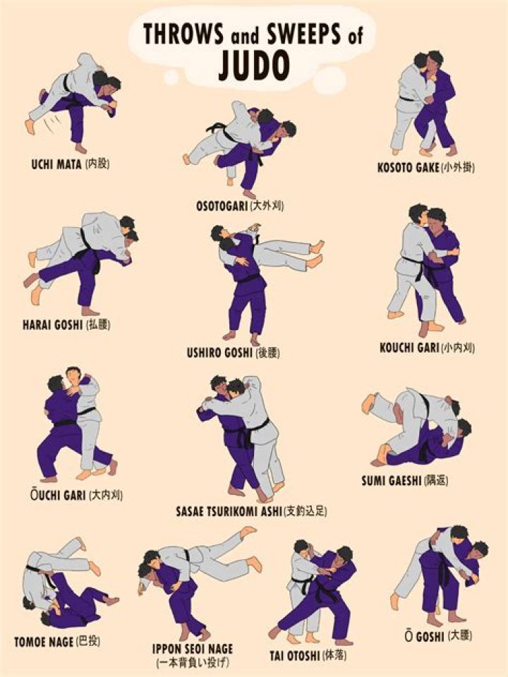Best Of judo point system Judo point spidser blunt spids fugle Blog