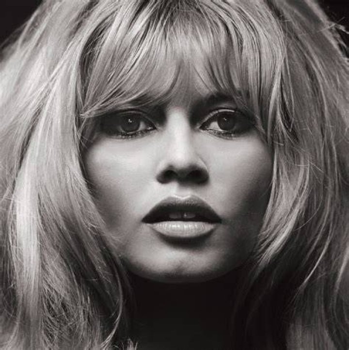 Brigitte Bardot, 1965 Holden Luntz Gallery EroFound