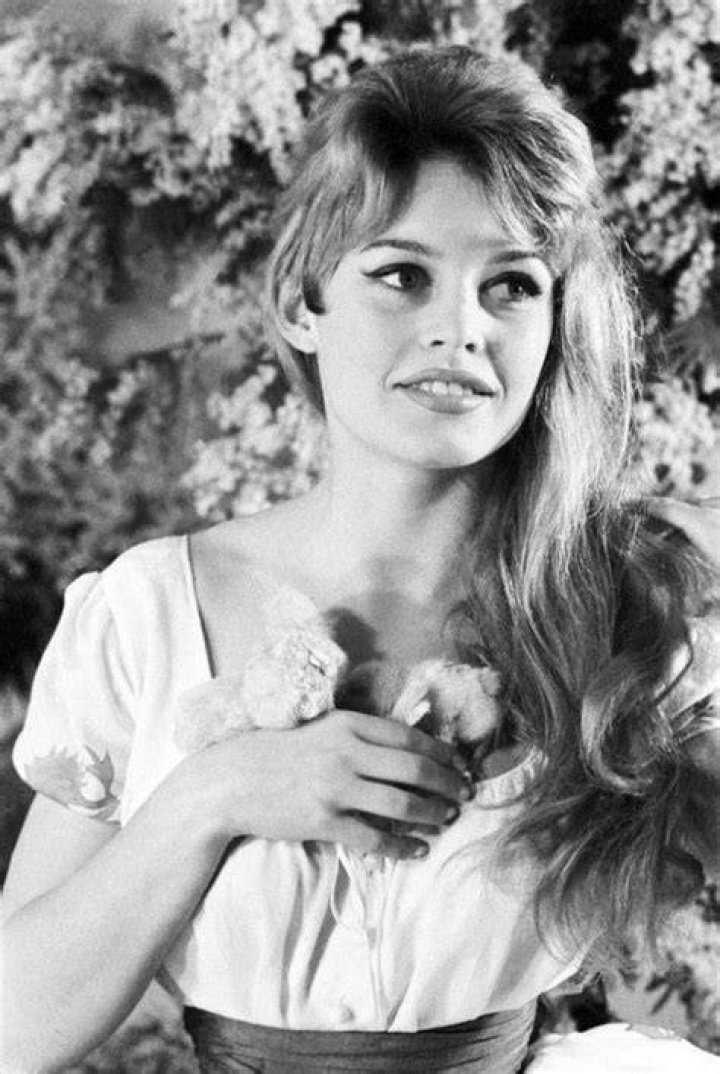 Brigitte Bardot, early 1950s Brigitte bardot young, Brigitte bardot