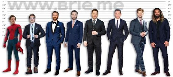 Chris Evans Height Brie