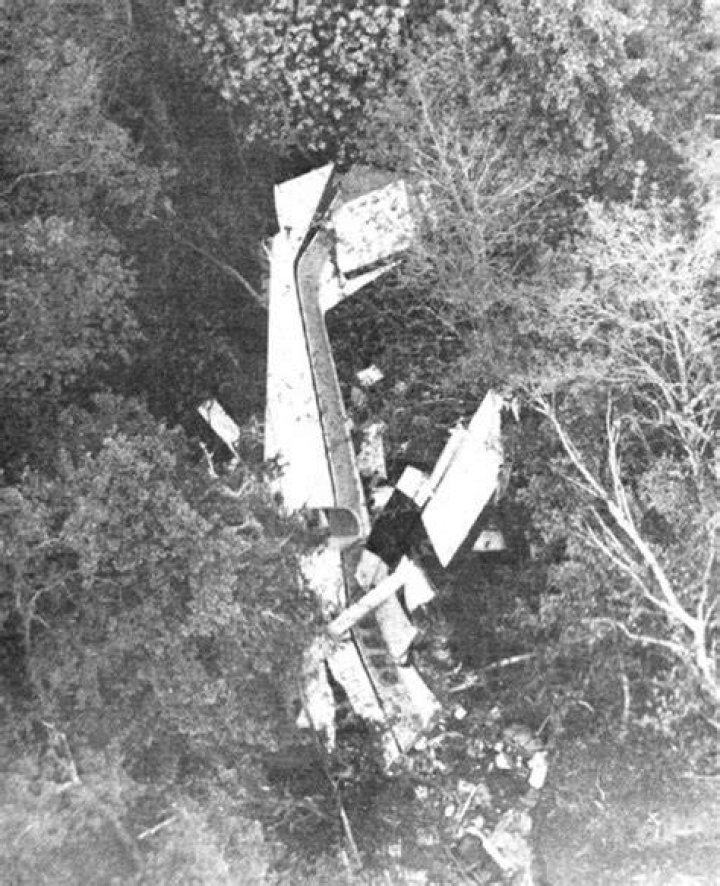 Dale Marks (Flight 46) Wiki, Daughter, Wife, Family, Obituary, Death, Story & BIO
