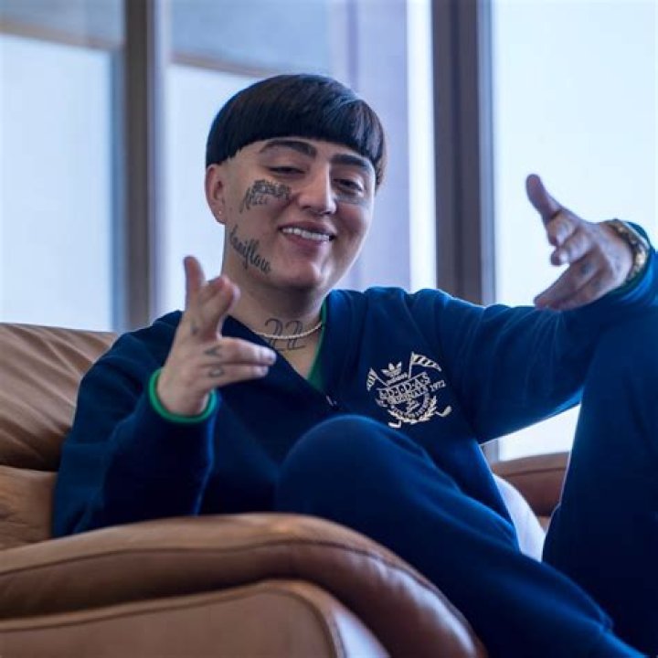 Dani Flow YouTube
