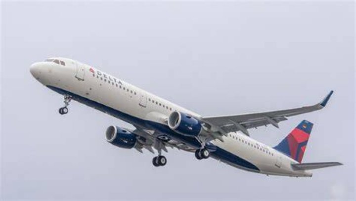 Delta Airlines to Ban Emotional Support Animals on Flights Longer Than