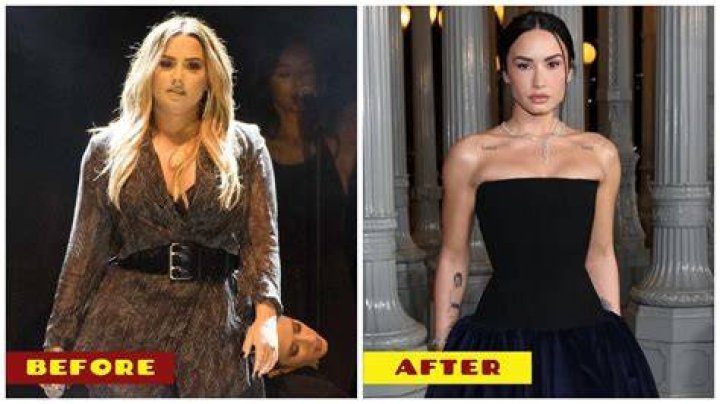 Demi Lovato Diet, Weight, Age, Height, Body Measurements2018