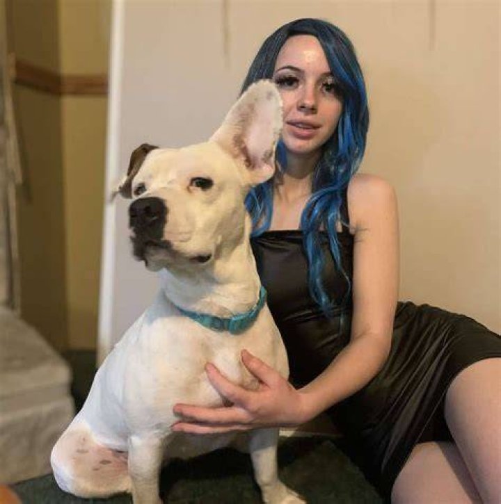 Denise Frazier Dog Video Reddit