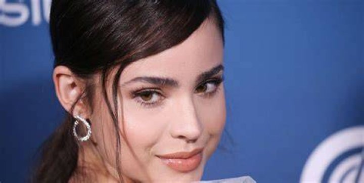 Did Sofia Carson Undergo Plastic Surgery Including Boob Job Nose Job