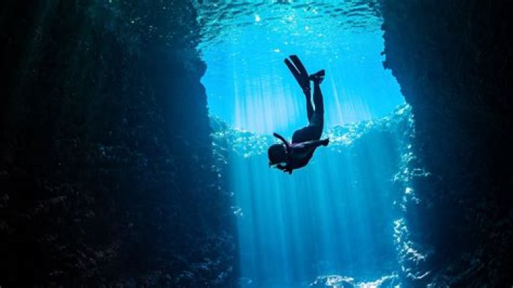 Dive Into The World Of Trine Marie Hansen: Discoveries And Insights