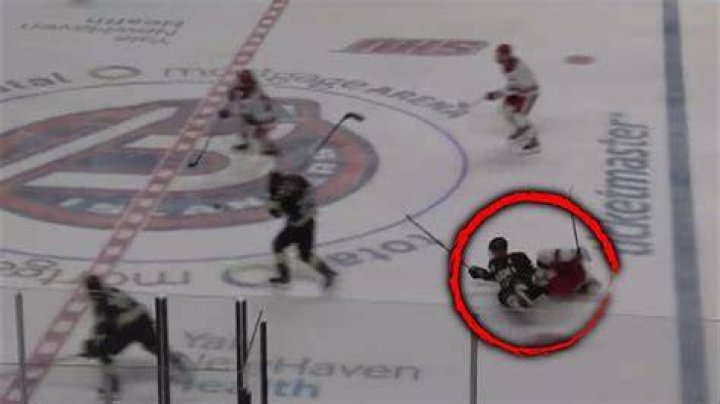 ExNHL Player Dies in Freak Accident on Ice Win Big Sports