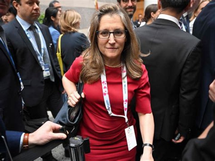 GOLDSTEIN Freeland questions if 'capitalist democracy' still works