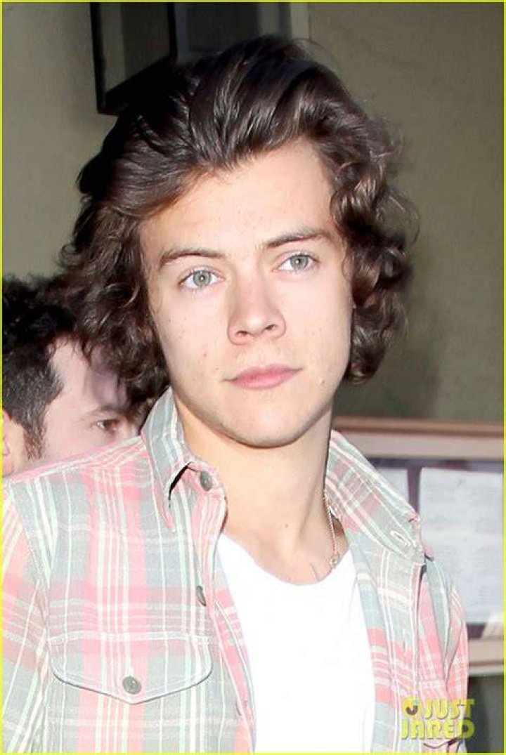 Harry Styles Lunches in Los Angeles Without One Direction Photo