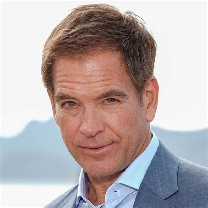 How Old Are Michael Weatherly and Bojana Jankovic's Kids?