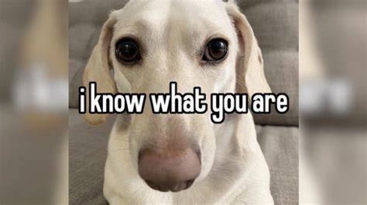 I know I've posted this before but we've got a lot of new followers