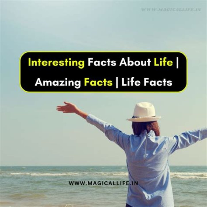 Interesting facts about the life of a successful businessman, David