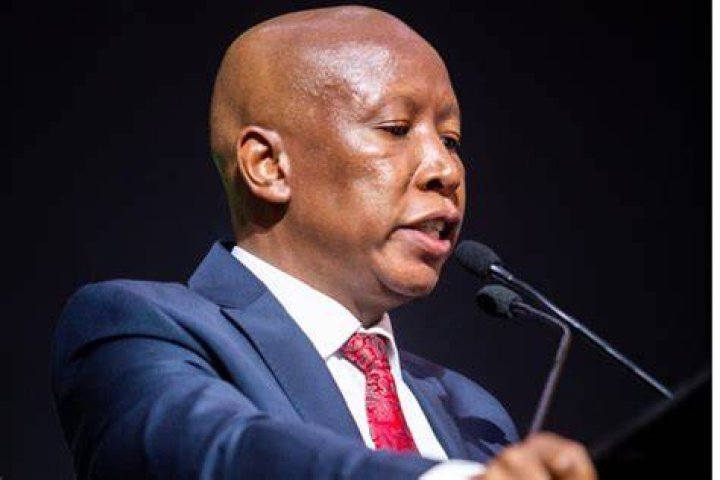 Julius Malema DendiPutri