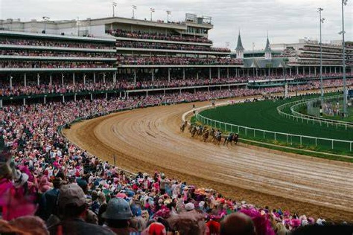 Kentucky Derby Horse Price How Much Money Do They Cost?