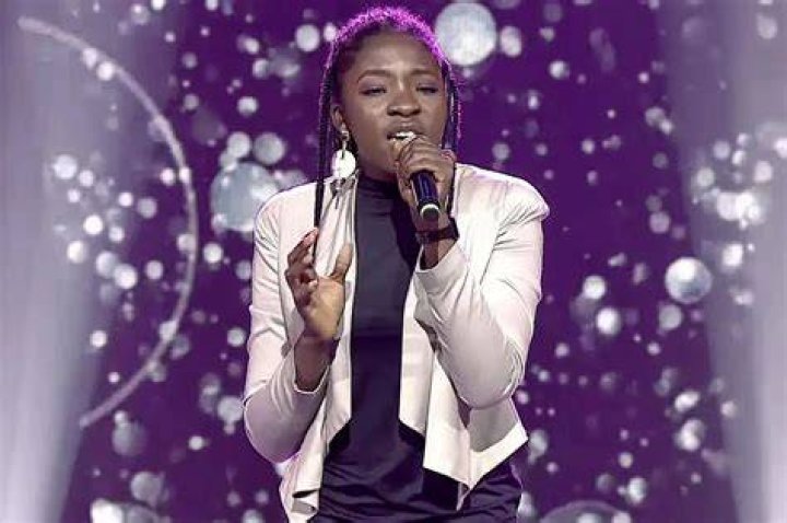 &lsquo;American Idol&rsquo; contestant who has autism receives standing ovation