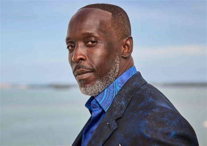 Michael K. Williams See Photos Of &lsquo;The Wire&rsquo; Actor Hollywood Life