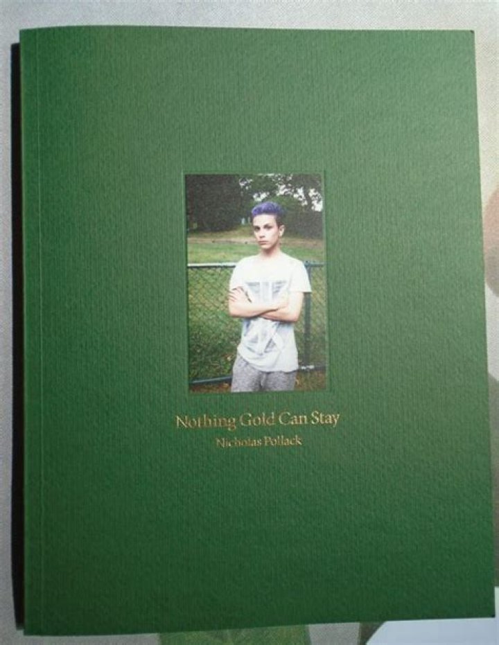Nicholas Pollack Nothing Gold Can Stay Phases Magazine