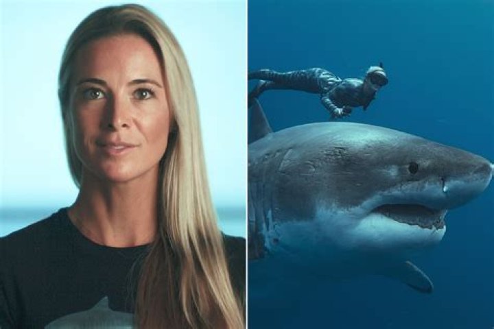 Ocean Ramsey the shark whisperer
