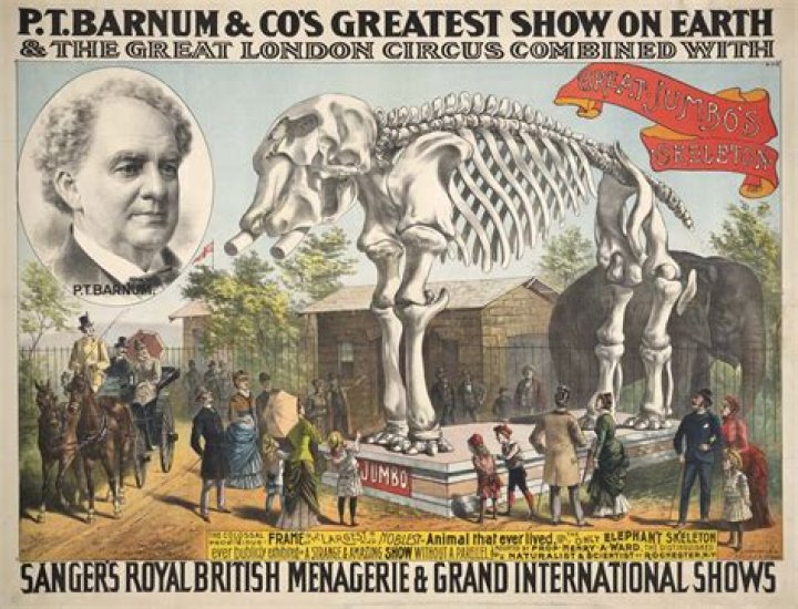 P. T. Barnum Biography Facts, Childhood, Family Life & Achievements