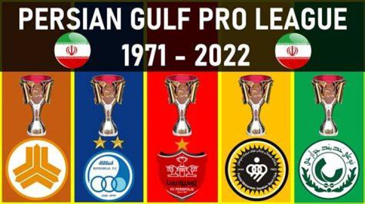 Persian Gulf Pro League &raquo; News &raquo; Ali Daei sacked as Persepolis coach