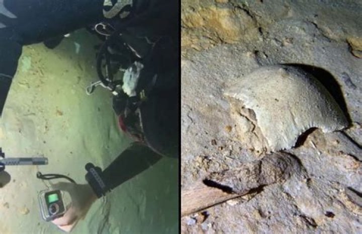 Remains found by divers in Delaware County's Darby Creek identified as