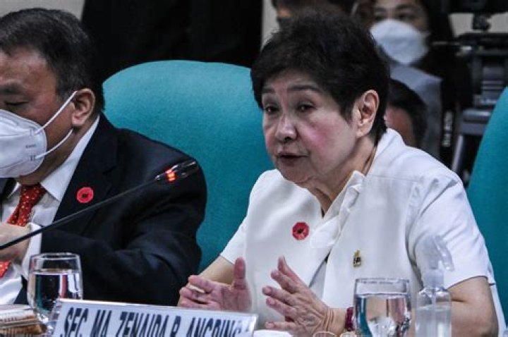 Resigned? PMS chief Naida Angping asks for 'personal time' off