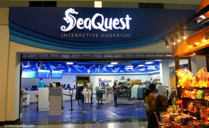 SeaQuest Aquarium Operating Without a License in Littleton, Colorado