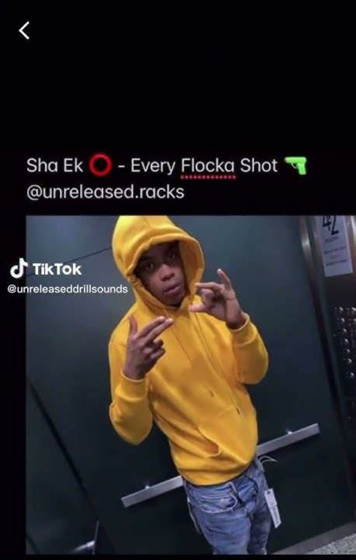 Sha EK Every Flocka Shot Lyrics Genius Lyrics