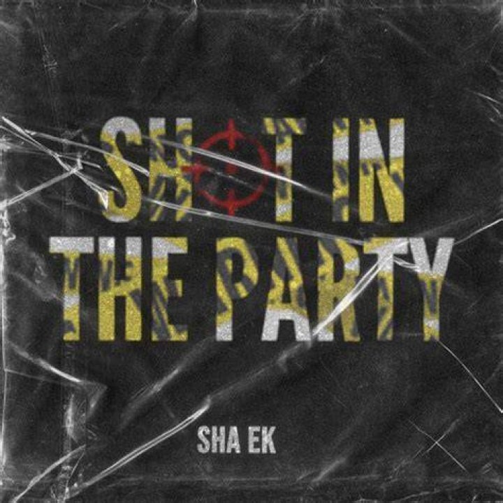 Sha EK Shot in the Party Lyrics Genius Lyrics