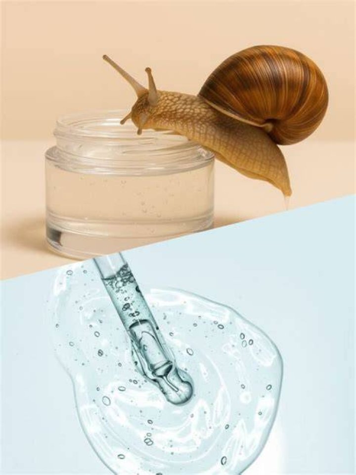 Snail Mucin vs Hyaluronic Acid Which Is Better for Your Skin?