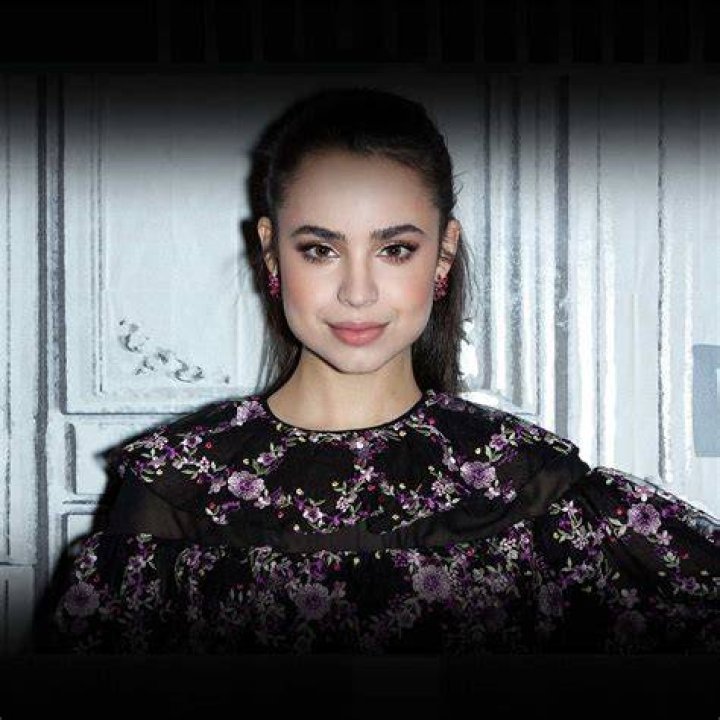 Sofia Carson Children Does Sofia Carson Have Children? TRAN HUNG DAO