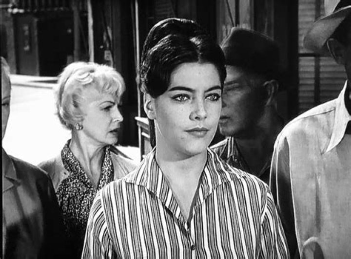 Stranger in Town (1960)