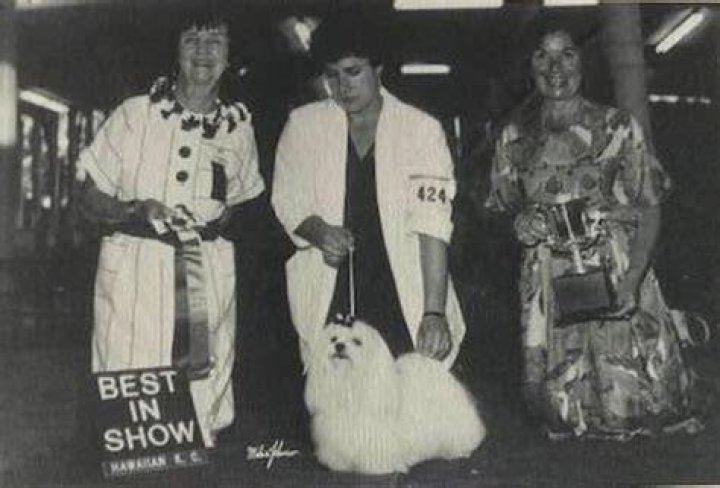 ThrowbackThursday Guess Who? Check Your Answer! Canine Chronicle