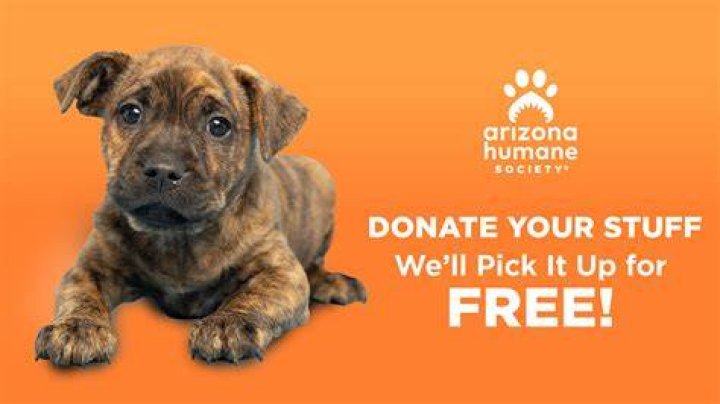 Uncover Hidden Truths: Arizona Humane Society Exposed