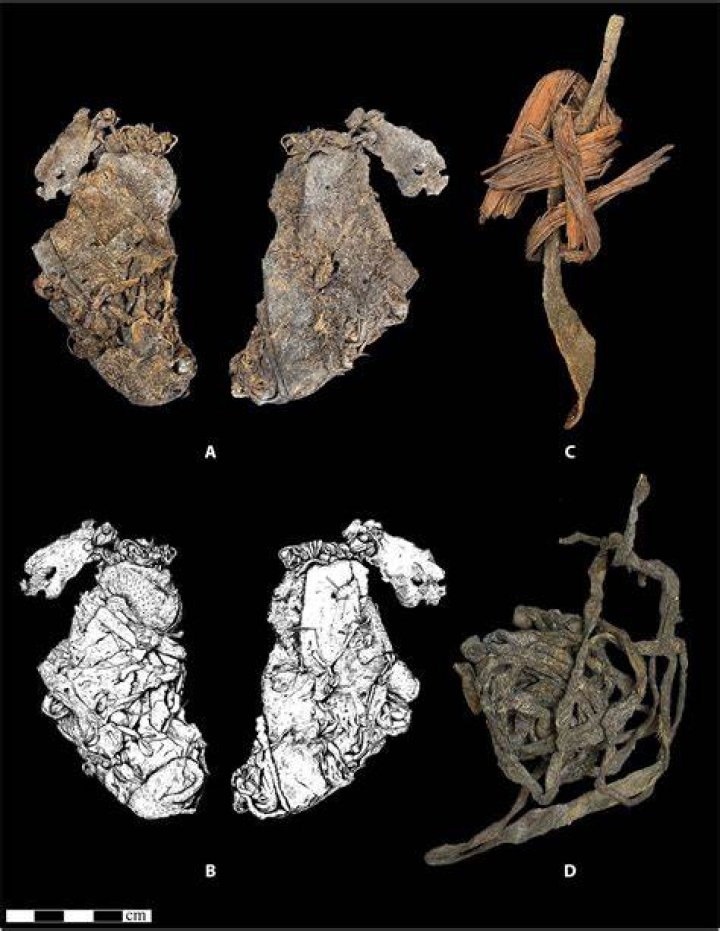 Uncovering The Unseen: Discoveries And Insights On David Gahan's Wife