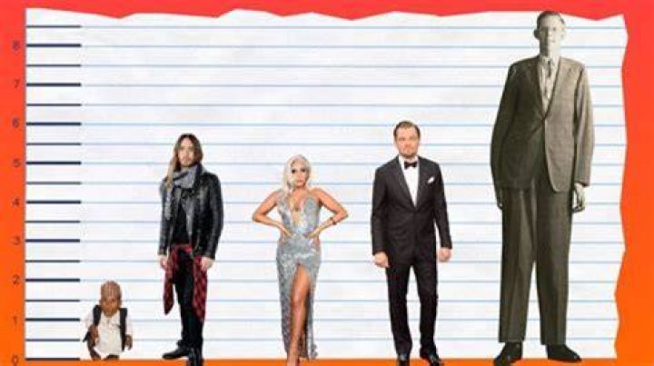 Unveiling Gabbie Marshall's Height: Surprising Insights And Revelations
