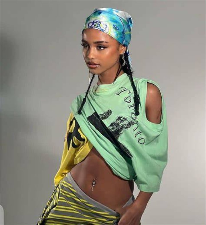 Unveiling The Enigma Of Tyla Waist: Discoveries And Insights