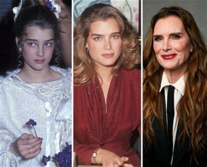 Unveiling The Secrets: Brooke Shields' Son's Paternity Revealed