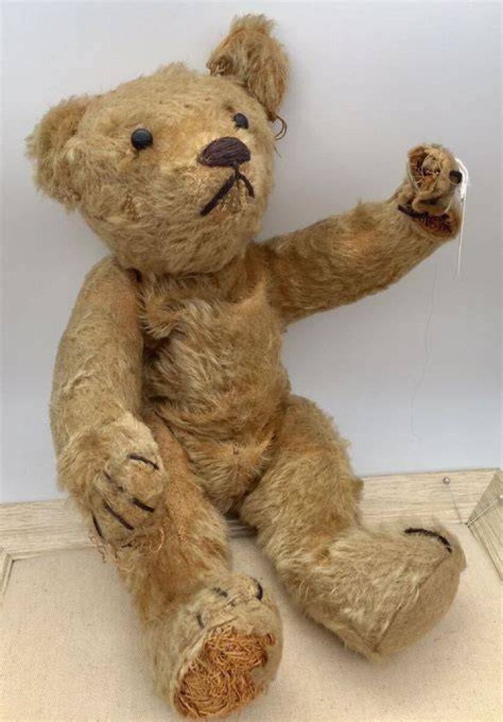 Used Teddy Bears, Refreshed And Given New Purpose Local news